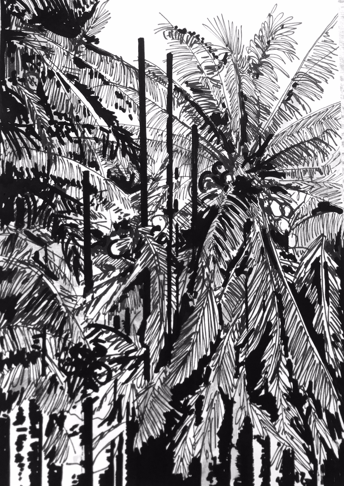 Sans titre / Thaïlande #11, 2018