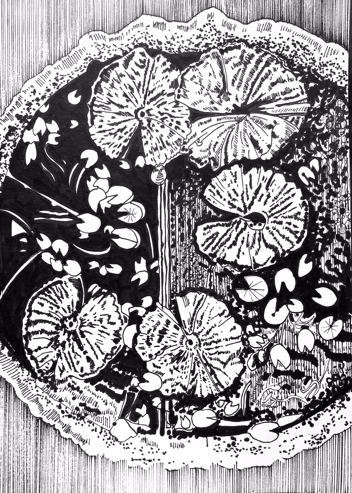 Sans titre / Thaïlande #18, 2018