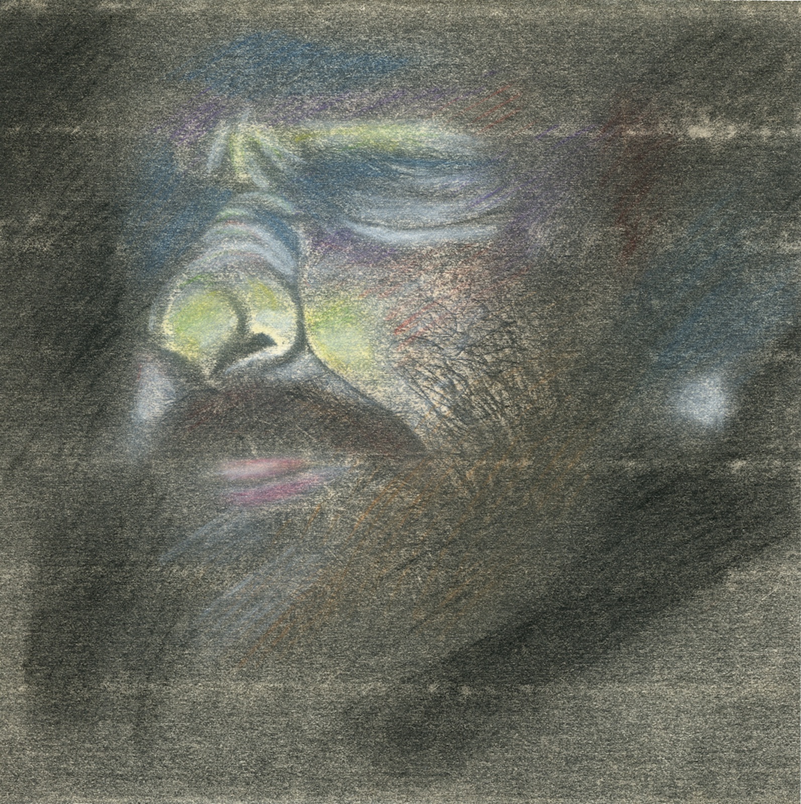 Selfportrait #2, 1975