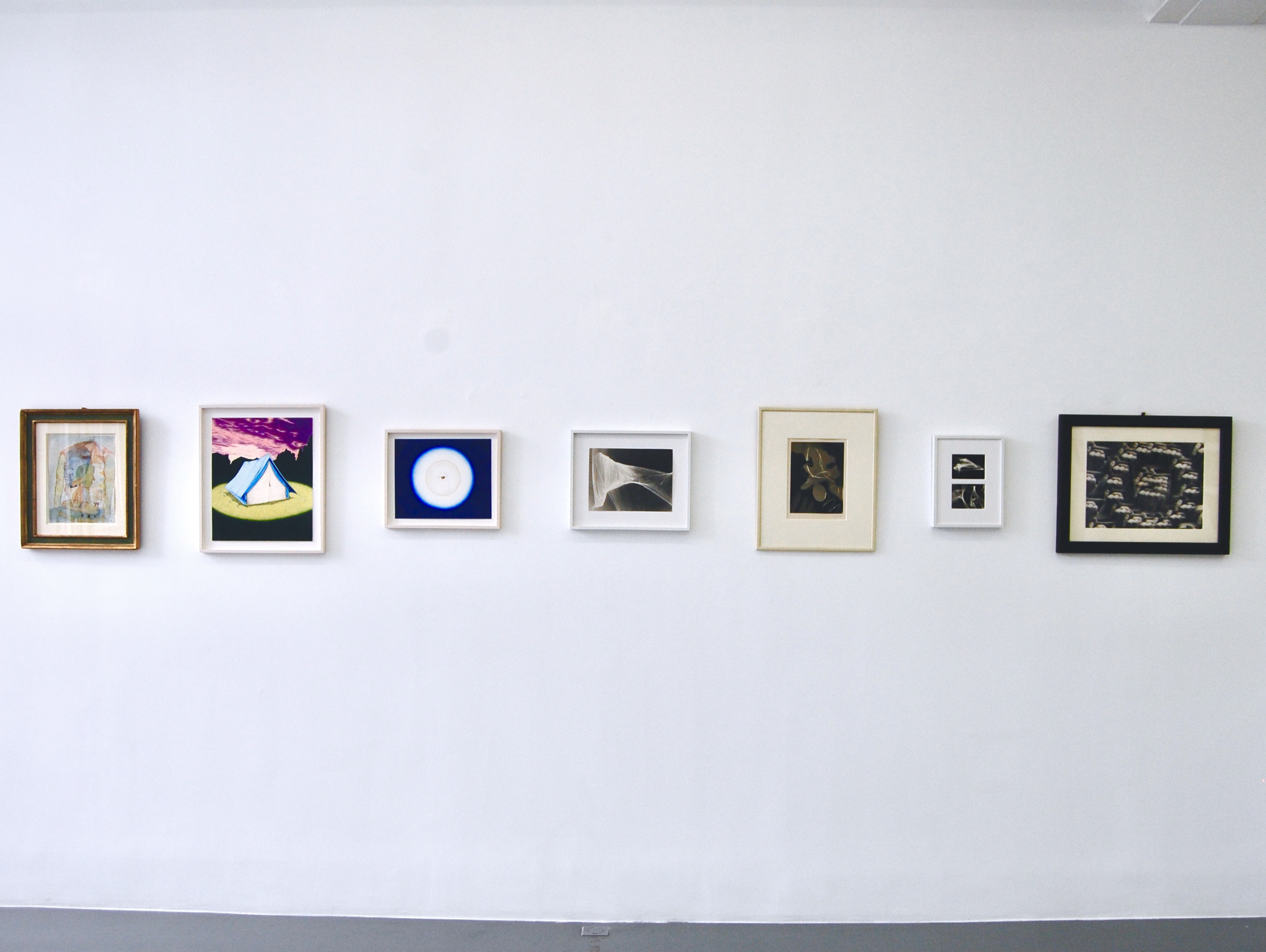Hasards exquis, une exposition pissenlit