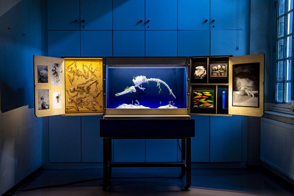 Musée Valise : La Mer imaginaire